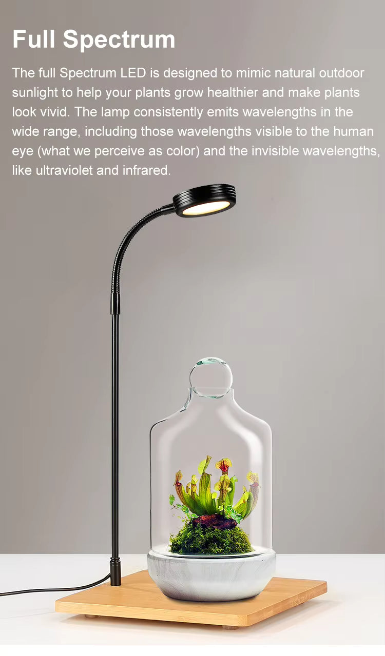 5W Premium Full Spectrum  LED Aquarium & Plant Grow Light with Bamboo Base – Smart Programmable Timer Desk Lamp for Nano Tanks, Succulents & Bonsai