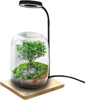 10W USB Powered LED Grow Lamp with Real Wood Base - Fully Adjustable Gooseneck Desktop Light for Succulents and Eco-Bottles