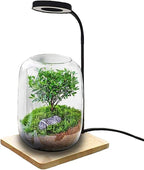10W USB Powered LED Grow Lamp with Real Wood Base - Fully Adjustable Gooseneck Desktop Light for Succulents and Eco-Bottles