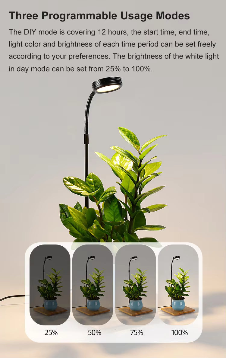 5W Premium Full Spectrum  LED Aquarium & Plant Grow Light with Bamboo Base – Smart Programmable Timer Desk Lamp for Nano Tanks, Succulents & Bonsai