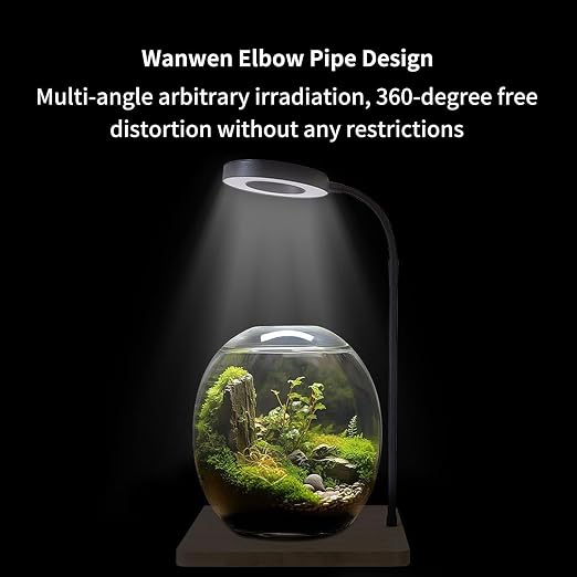 10W USB Powered LED Grow Lamp with Real Wood Base - Fully Adjustable Gooseneck Desktop Light for Succulents and Eco-Bottles